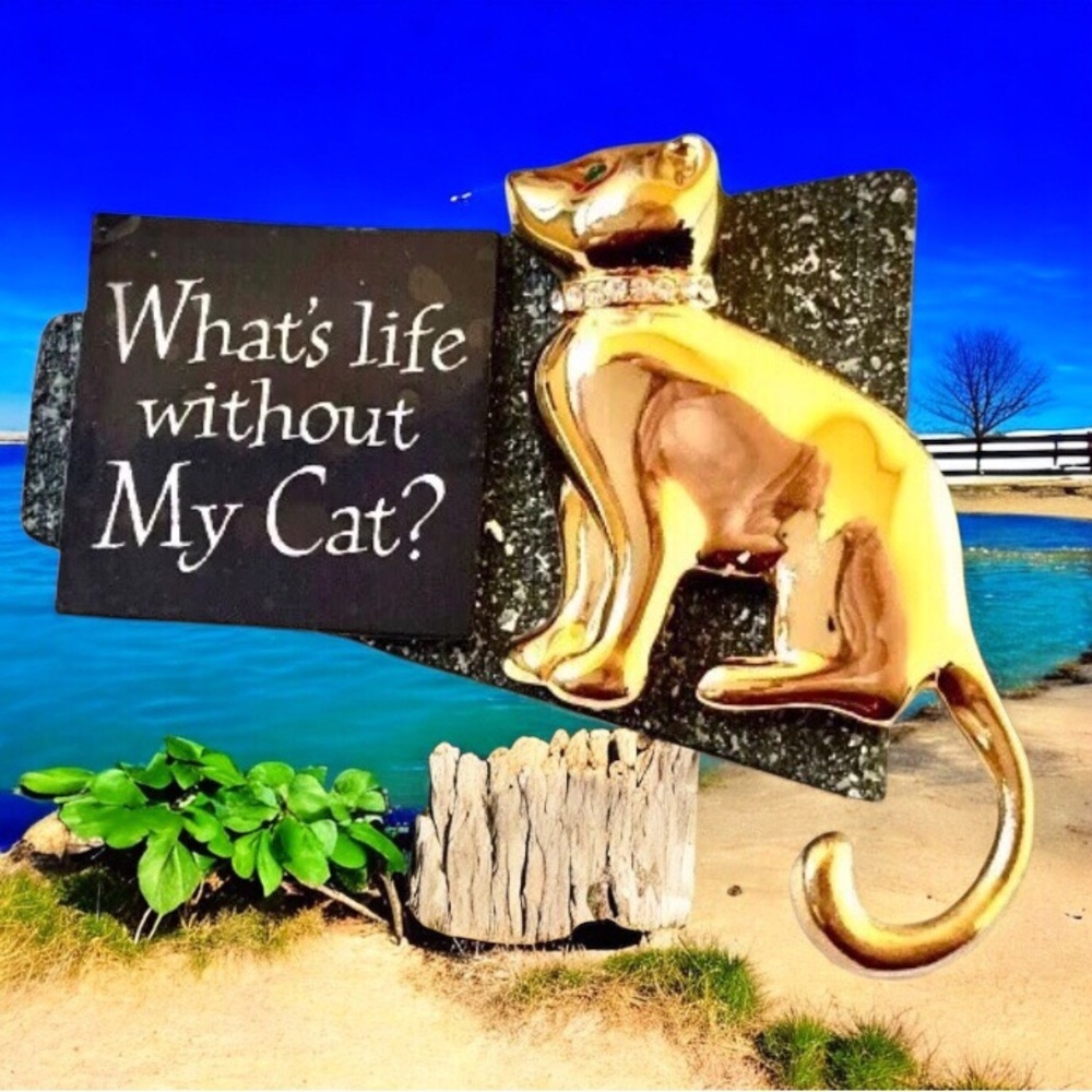 Retro Cat Brooch Pin Kitsch Wood Acrylic Metal WHAT'S LIFE WITHOUT MY CAT?